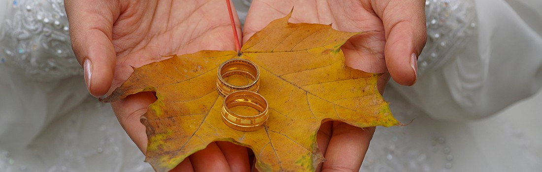 Gökkuşağı Serisi